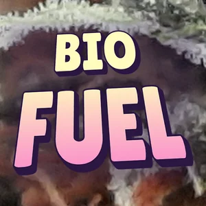 Bio Fuel Cannabis Strain