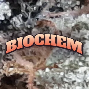 Biochem Cannabis Strain