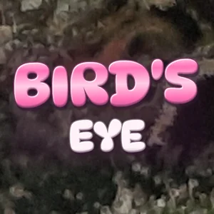 Bird's Eye Cannabis Strain