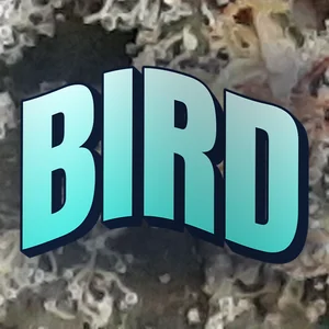 Bird Cannabis Strain
