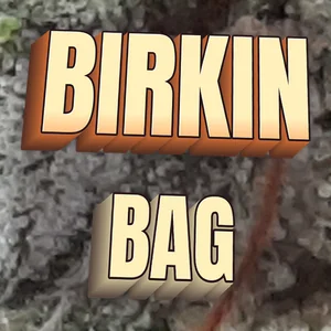 Birkin Bag Cannabis Strain
