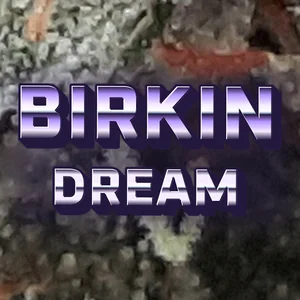 Birkin Dream Cannabis Strain