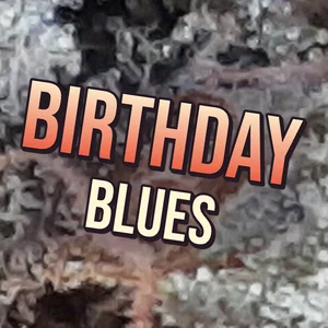 Birthday Blues Cannabis Strain