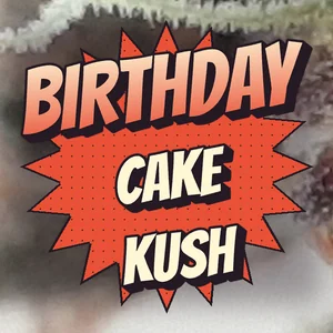 Birthday Cake Kush Cannabis Strain