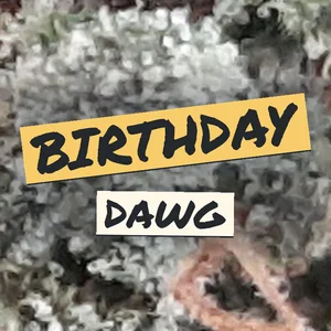 Birthday Dawg Cannabis Strain