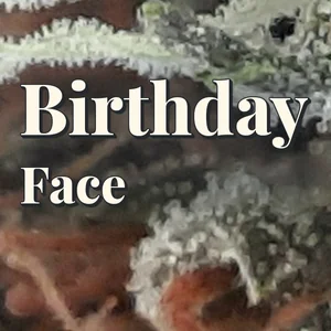 Birthday Face Cannabis Strain