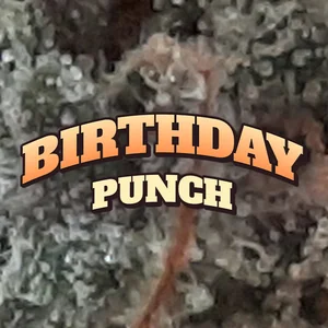 Birthday Punch Cannabis Strain