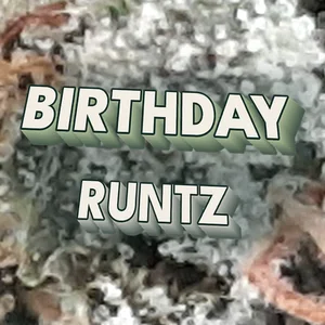 Birthday Runtz Cannabis Strain
