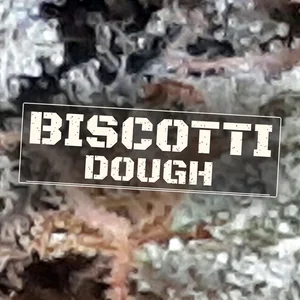 Biscotti Dough Cannabis Strain