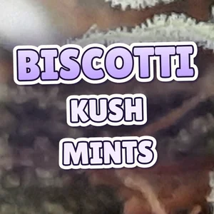 Biscotti Kush Mints Cannabis Strain
