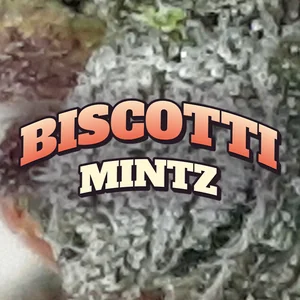 Biscotti Mintz Cannabis Strain