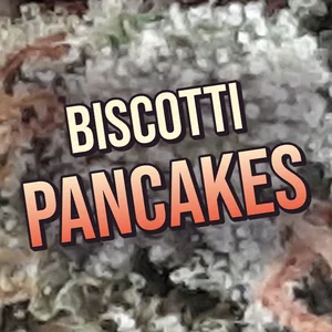 Biscotti Pancakes Cannabis Strain