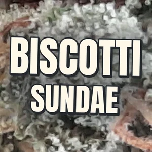 Biscotti Sundae Cannabis Strain