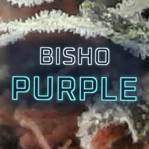 Bisho Purple Cannabis Strain
