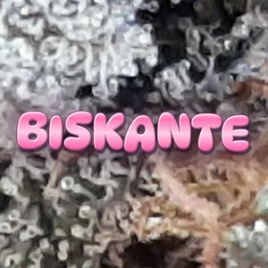Biskante Cannabis Strain