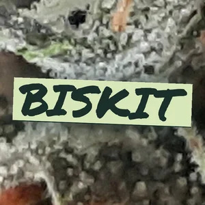 Biskit Cannabis Strain