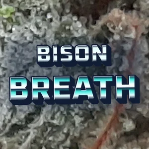 Bison Breath Cannabis Strain