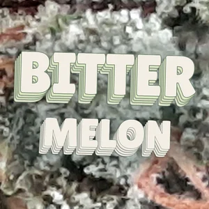 Bitter Melon Cannabis Strain