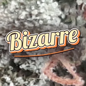 Bizarre Cannabis Strain