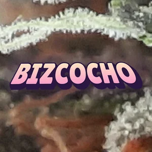 Bizcocho Cannabis Strain