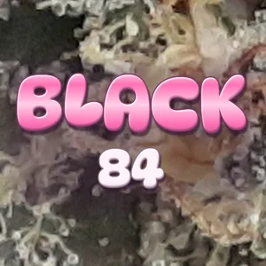Black 84 Cannabis Strain