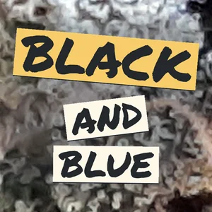 Black and Blue Cannabis Strain
