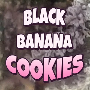 Black Banana Cookies Cannabis Strain