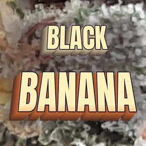Black Banana Cannabis Strain