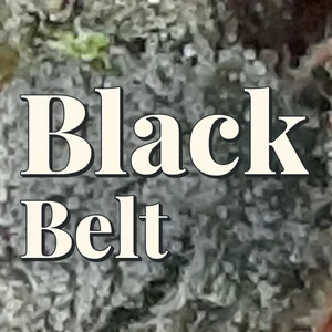 Black Belt Cannabis Strain