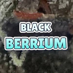 Black Berrium Cannabis Strain