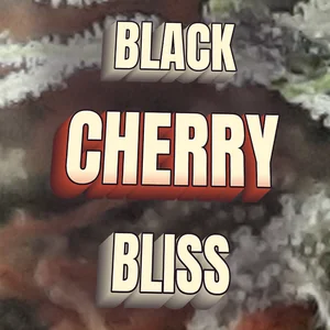 Black Cherry Bliss Cannabis Strain