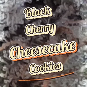 Black Cherry Cheesecake Cookies Cannabis Strain