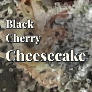 Black Cherry Cheesecake Cannabis Strain