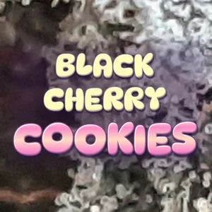 Black Cherry Cookies Cannabis Strain