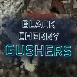Black Cherry Gushers Cannabis Strain
