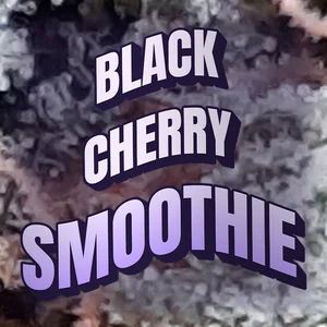 Black Cherry Smoothie Cannabis Strain