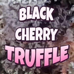 Black Cherry Truffle Cannabis Strain