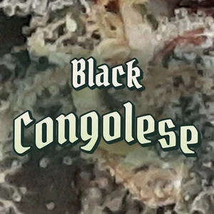 Black Congolese Cannabis Strain