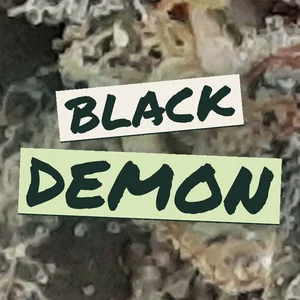Black Demon Cannabis Strain