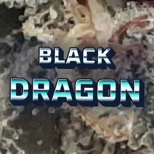 Black Dragon Cannabis Strain
