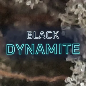 Black Dynamite Cannabis Strain