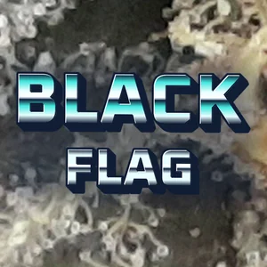 Black Flag Cannabis Strain