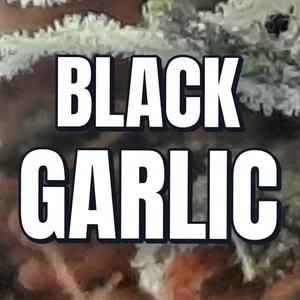 Black Garlic Cannabis Strain