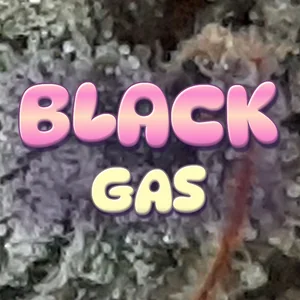 Black Gas Cannabis Strain