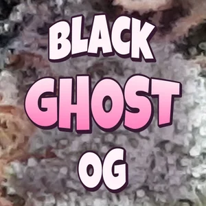 Black Ghost OG Cannabis Strain