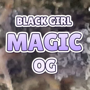 Black Girl Magic OG Cannabis Strain