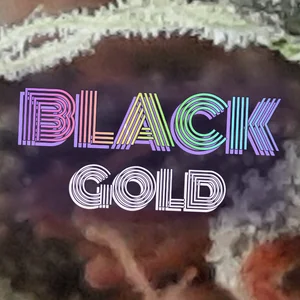 Black Gold Cannabis Strain
