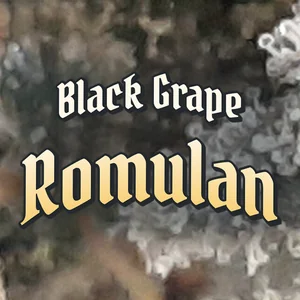 Black Grape Romulan Cannabis Strain