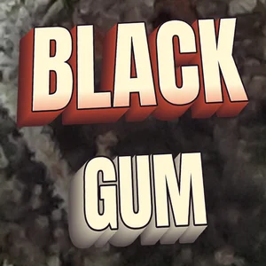 Black Gum Cannabis Strain