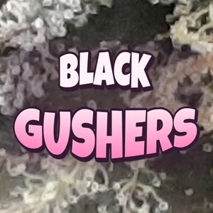 Black Gushers Cannabis Strain